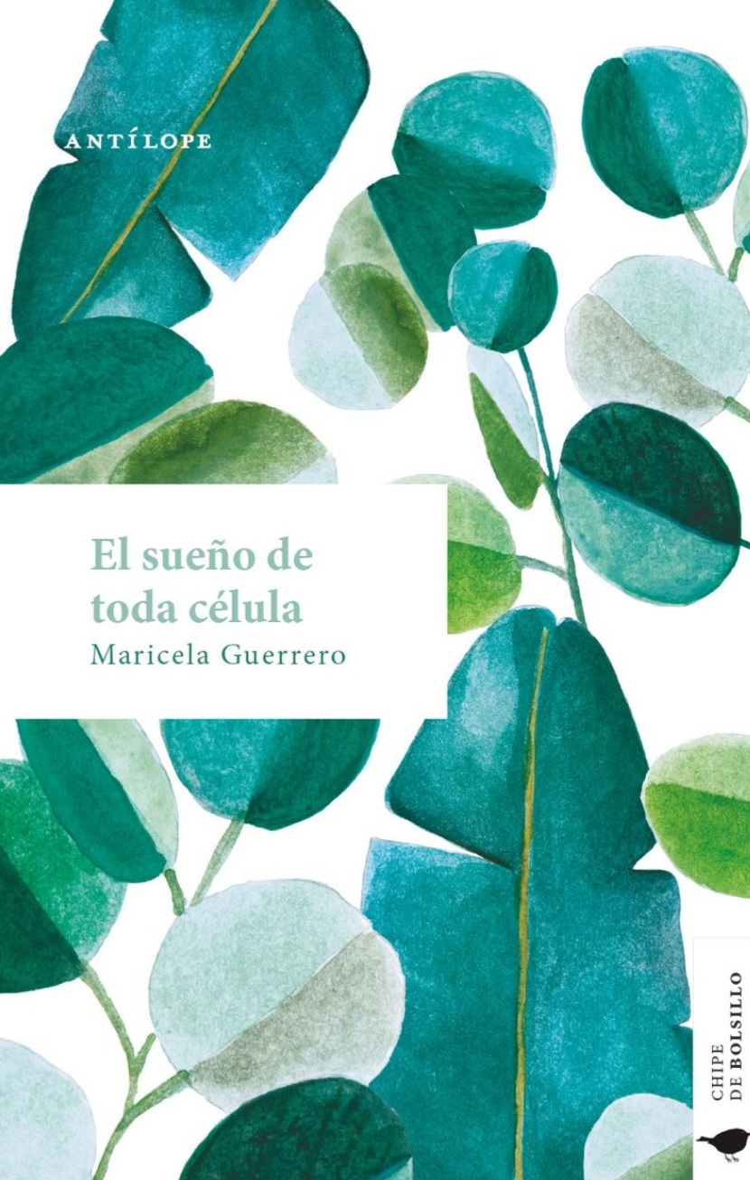 El sueño de toda célula (Paperback, Español language, Ediciones Antílope)