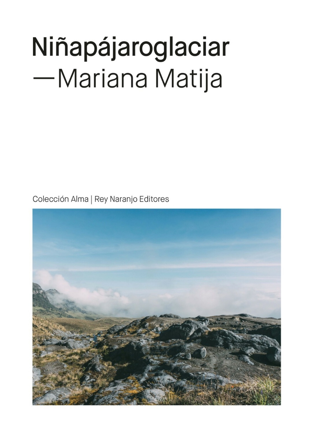Niñapájaroglaciar (EBook, Español language, Rey Naranjo Editores)