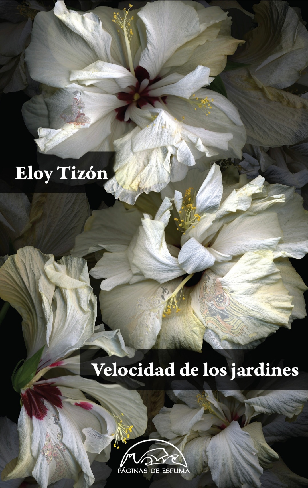 Velocidad de los jardines (Paperback, Español language, 2019, Páginas de espuma)
