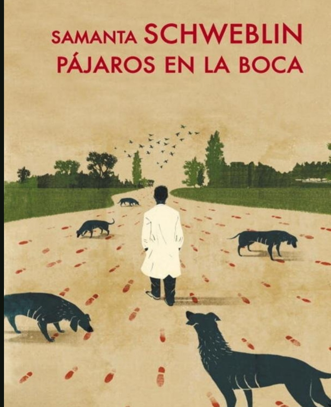 Samantha Schweblin: Pajaros en la boca (Español language, Lumen)