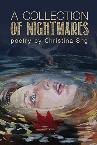 A Collection of Nightmares (Paperback, 2017, Raw Dog Screaming Press)