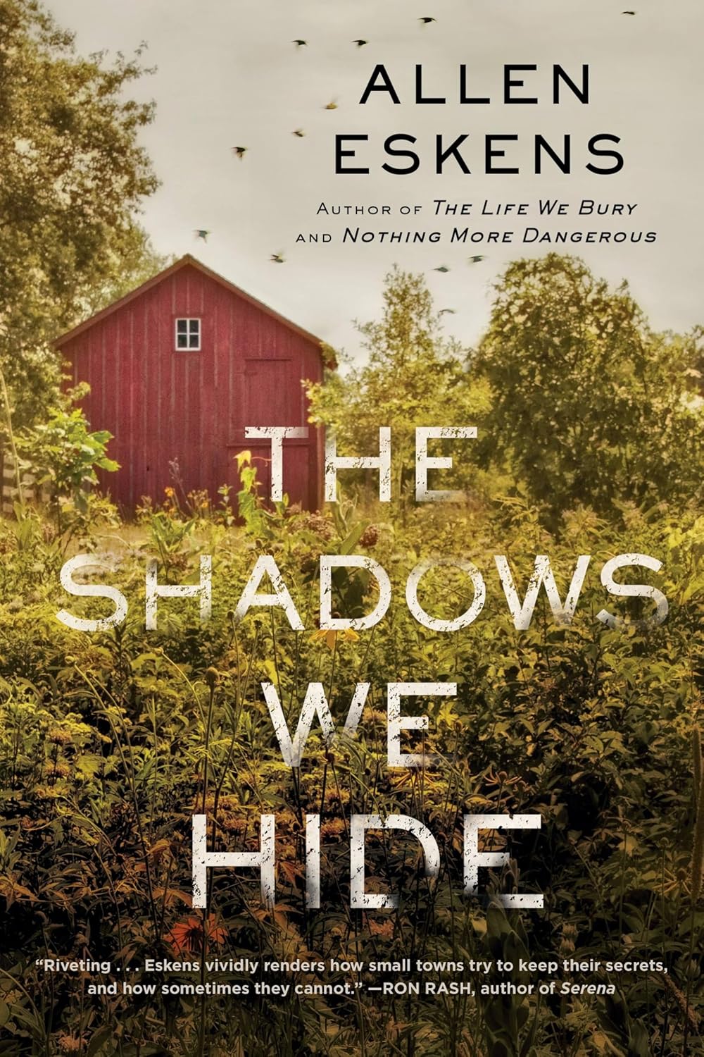 Allen Eskens: The shadows we hide (2018)