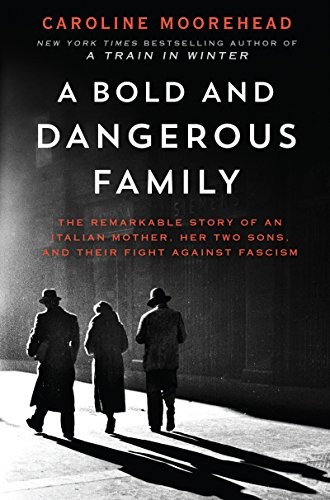 A bold and dangerous family (2017, Harper)