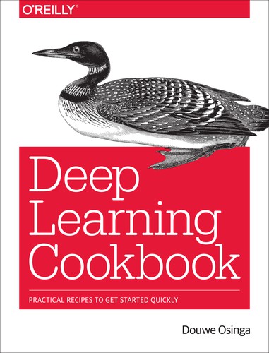 Douwe Osinga: Deep Learning Cookbook (Paperback, 2018, O’Reilly Media)