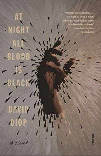 At Night All Blood Is Black (Paperback, 2021, Picador)