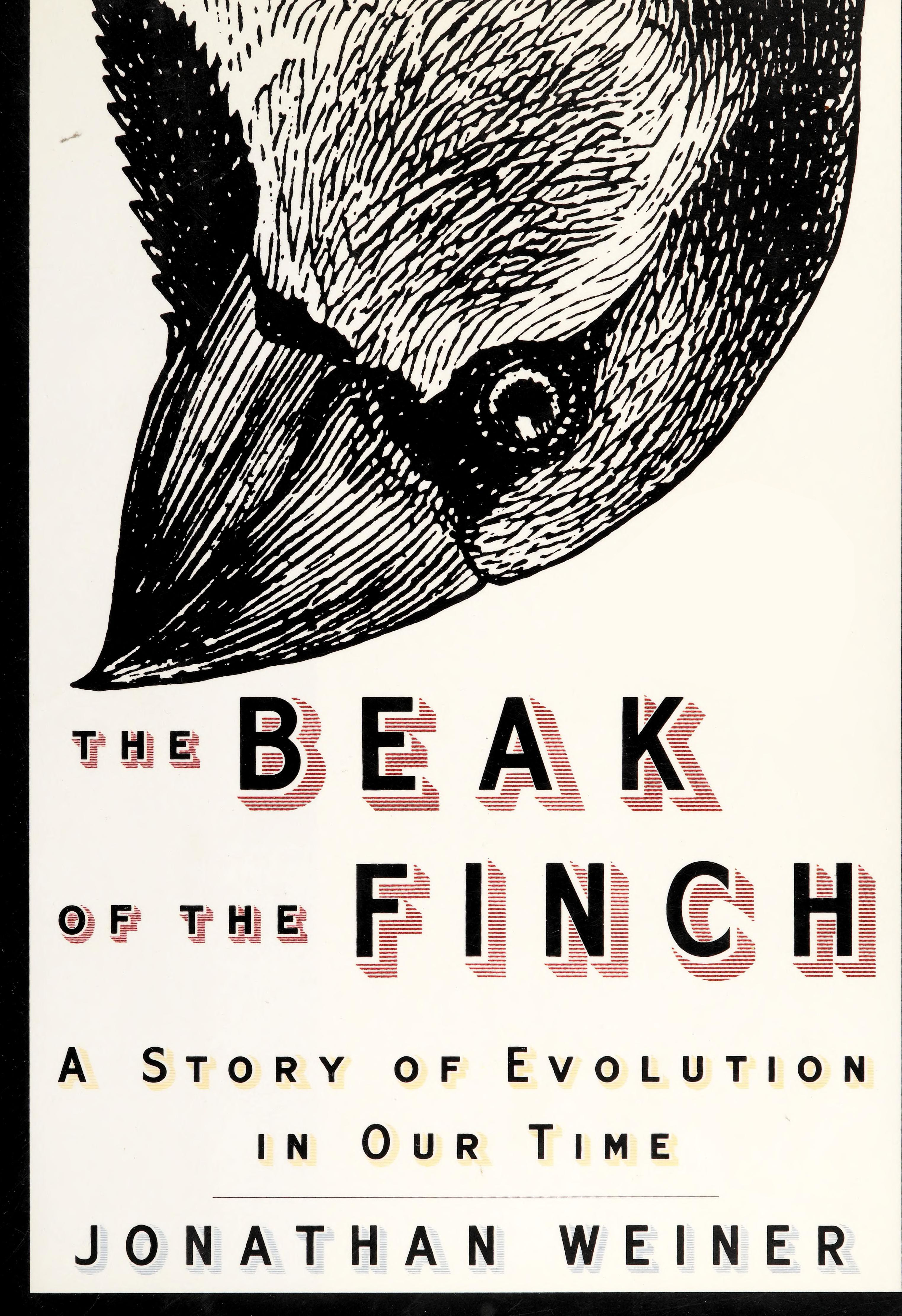 Jonathan Weiner: The Beak Of The Finch (Hardcover, 1994, Alfred A. Knopf)