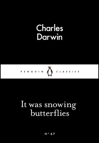 It Was Snowing Butterflies (Paperback, 2015, Penguin Books)