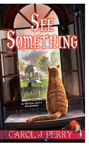 See Something (Paperback, 2021, Kensington)