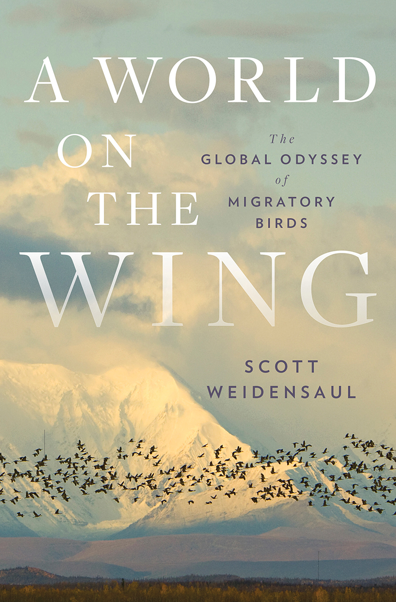 Scott Weidensaul: A World on the Wing (Hardcover, 2021, Norton & Company, Incorporated, W. W.)