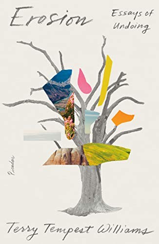 Terry Tempest Williams: Erosion (Paperback, 2020, Picador)