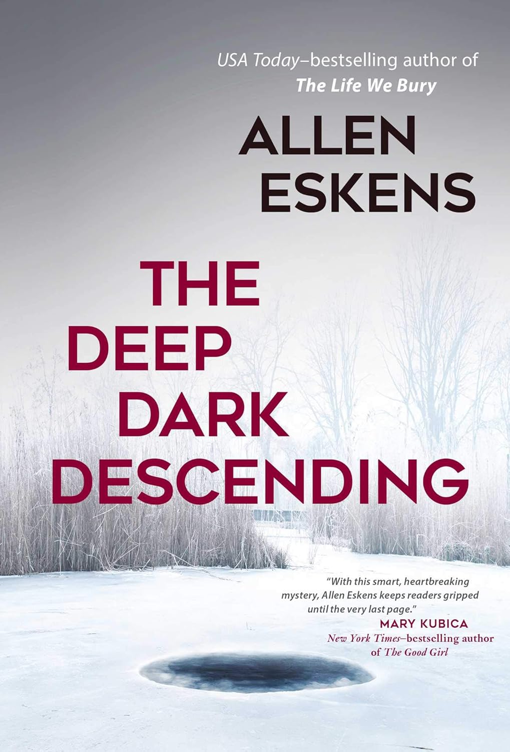 Allen Eskens: The deep dark descending (2017)