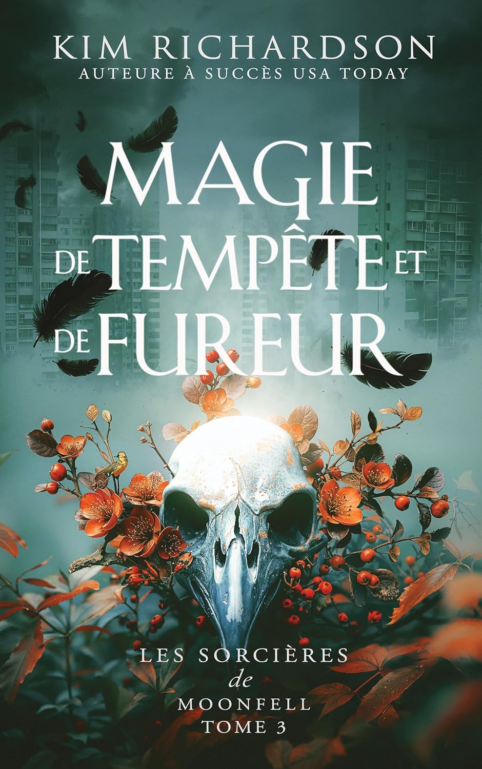 Kim Richardson: Magie de tempête et de fureur (EBook, Français language)
