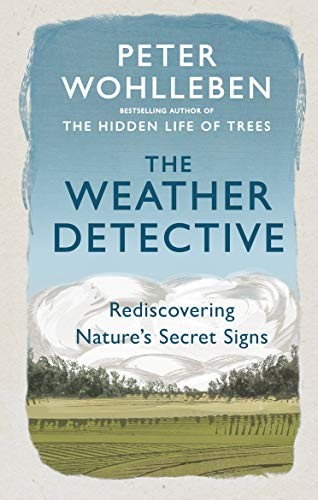 Peter Wohlleben: The Weather Detective (Paperback, 2019, Rider)