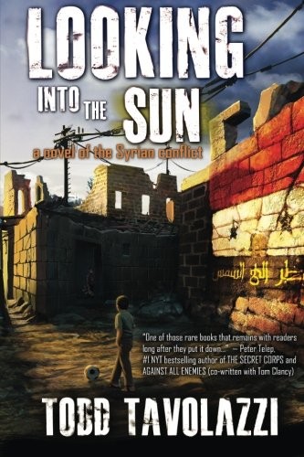 Todd Tavolazzi: Looking into the Sun (Paperback, 2016, Pandamoon Publishing)