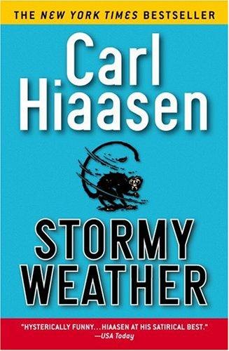 Stormy weather (2001, Warner Books)