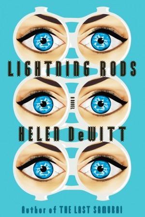 Lightning rods (2011, New Directions Books)