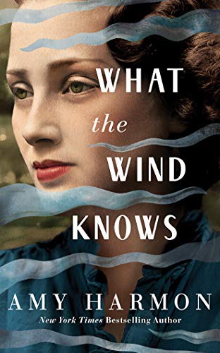 Will Damron, Amy Harmon, Saskia Maarleveld: What the Wind Knows (AudiobookFormat, 2019, Brilliance Audio)