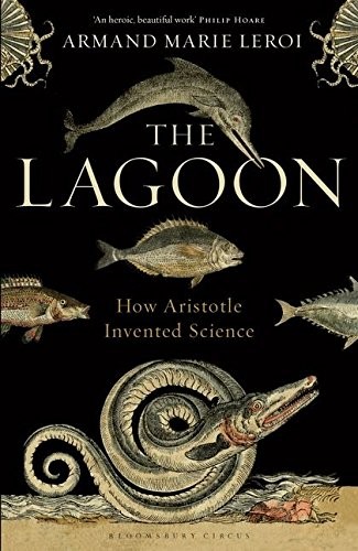 Armand Marie Leroi: The Lagoon (Hardcover, 2014, Bloomsbury Circus)