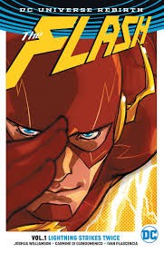 Joshua Williamson: The Flash, Vol. 1 (Paperback, 2017, DC Comics)