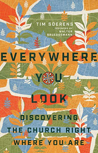 Everywhere You Look (Paperback, 2020, IVP)