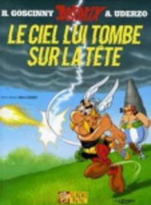 Le ciel lui tombe sur la tête (French language, 2005)