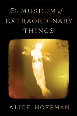 The Museum Of Extraordinary Things A Novel (2014, Scribner)