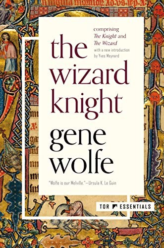 The Wizard Knight (Paperback, 2020, Tor Books)