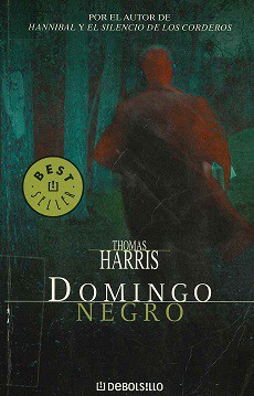 Domingo Negro (Paperback, Spanish language)