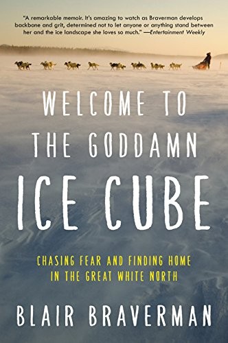 Welcome to the Goddamn Ice Cube (Paperback, 2017, Ecco)