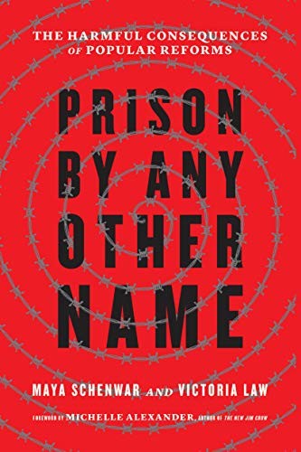 Prison by Any Other Name (Hardcover, 2020, The New Press)