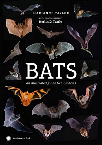 Marianne Taylor: Bats (Hardcover, 2019, Smithsonian Books)