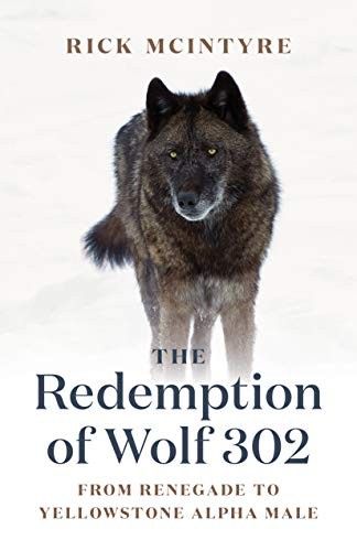 The Redemption of Wolf 302 (Paperback, 2023, Greystone Books, GREYSTONE BOOKS)