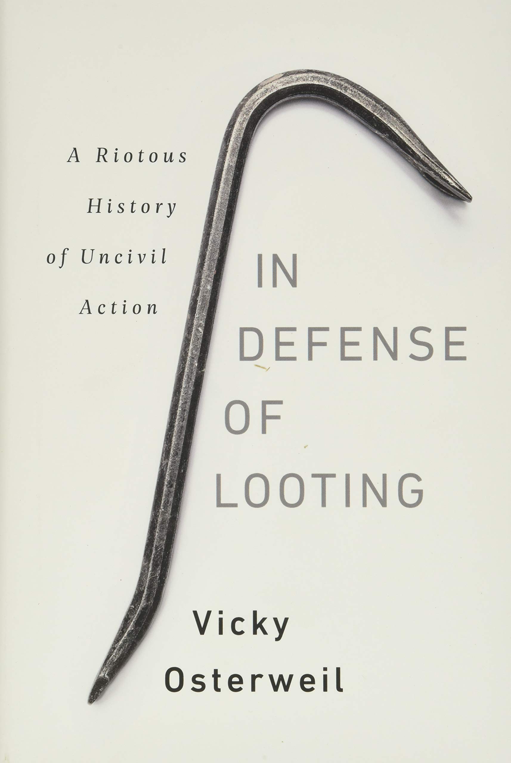 In Defense of Looting (Hardcover, 2020, Bold Type Books)