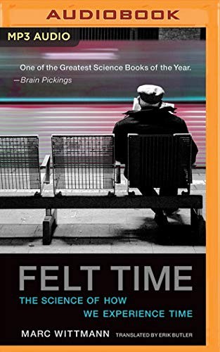 Marc Wittmann, Graham Rowat: Felt Time (AudiobookFormat, 2019, Brilliance Audio)