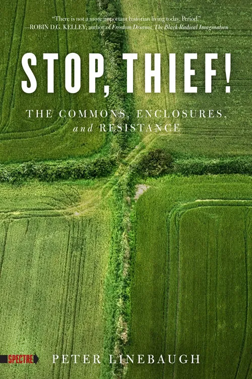 Peter Linebaugh: Stop, thief! (2013, PM Press)