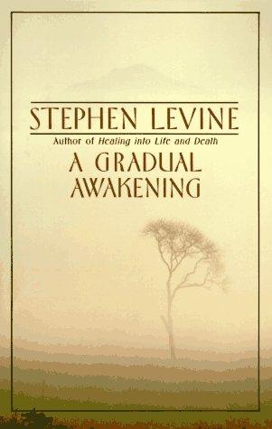 Levine, Stephen: A gradual awakening (1989, Anchor Books)