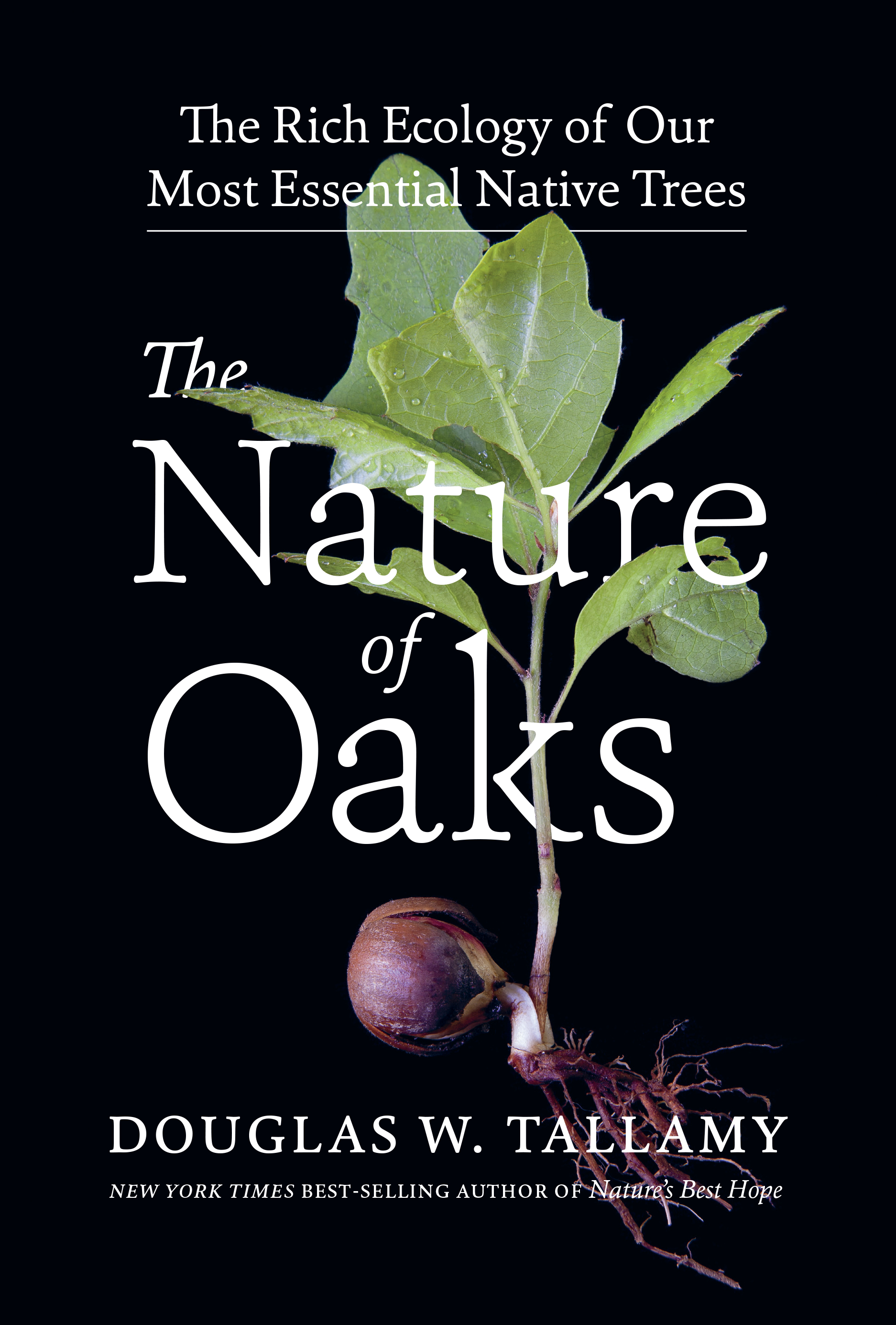 Nature of Oaks (2021, Timber Press, Incorporated)