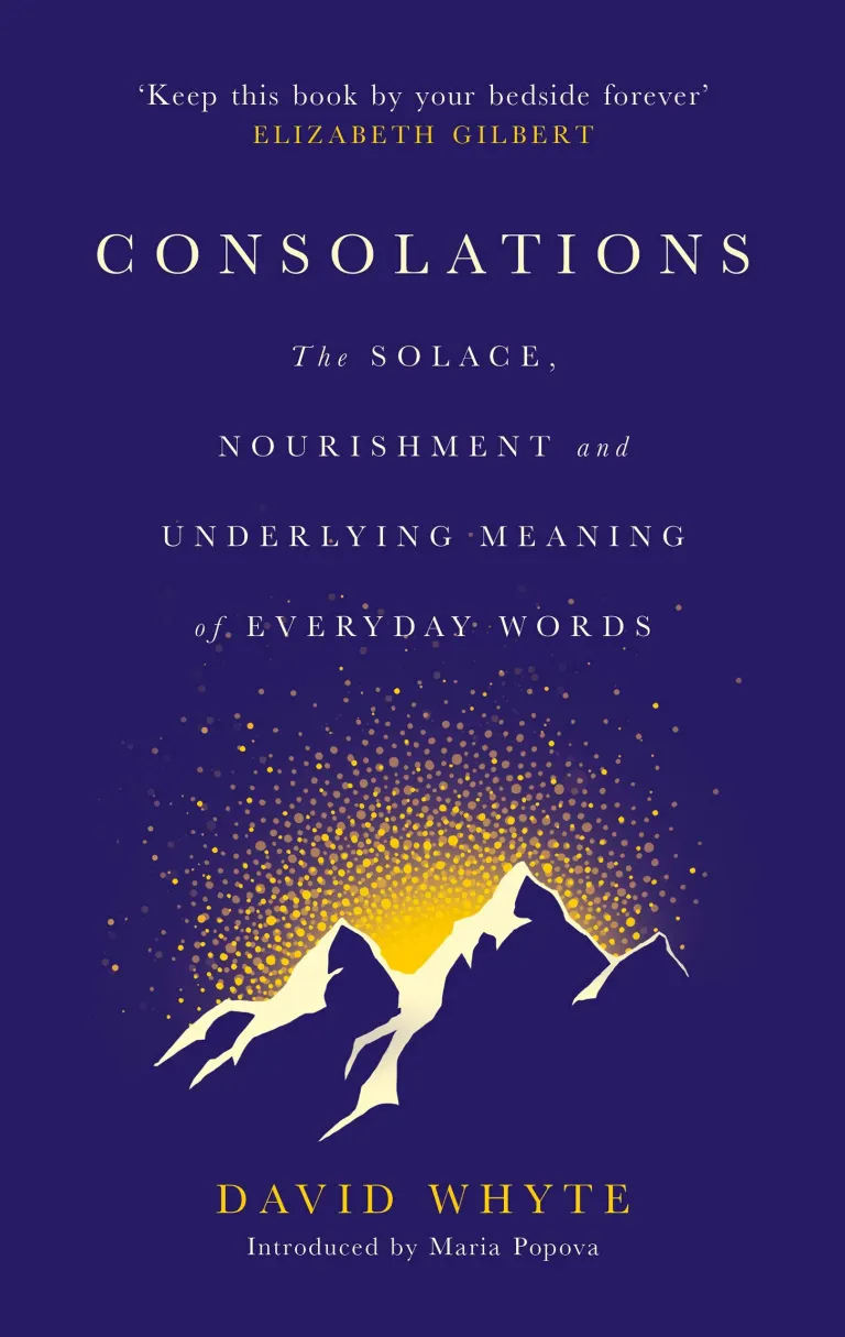 Whyte, David: Consolations (2015)