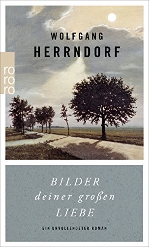 Wolfgang Herrndorf: Bilder deiner grossen Liebe (Paperback, 2015, Rowohlt Taschenbuch Verlag GmbH)