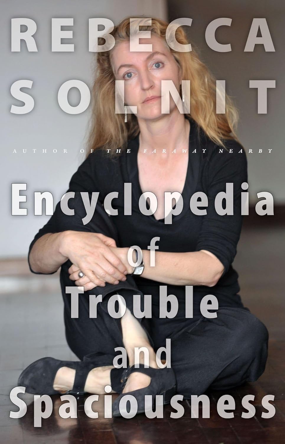 Rebecca Solnit: The encyclopedia of trouble and spaciousness (2014)