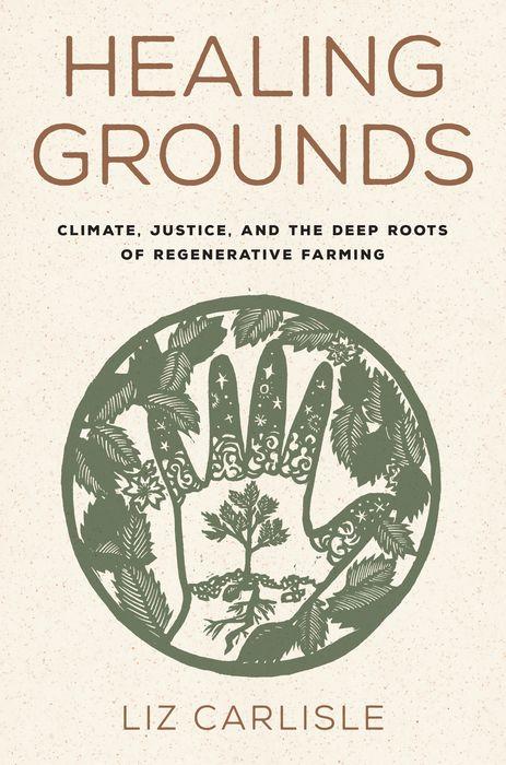 Healing Grounds (Hardcover, Island Press)