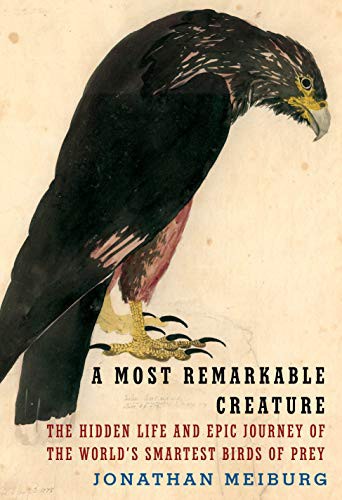A Most Remarkable Creature (Hardcover, 2021, Knopf)