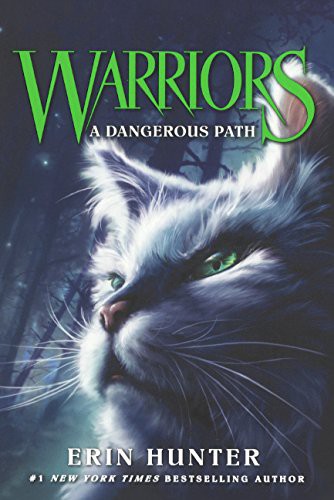 A Dangerous Path (Hardcover, 2015, Turtleback Books)