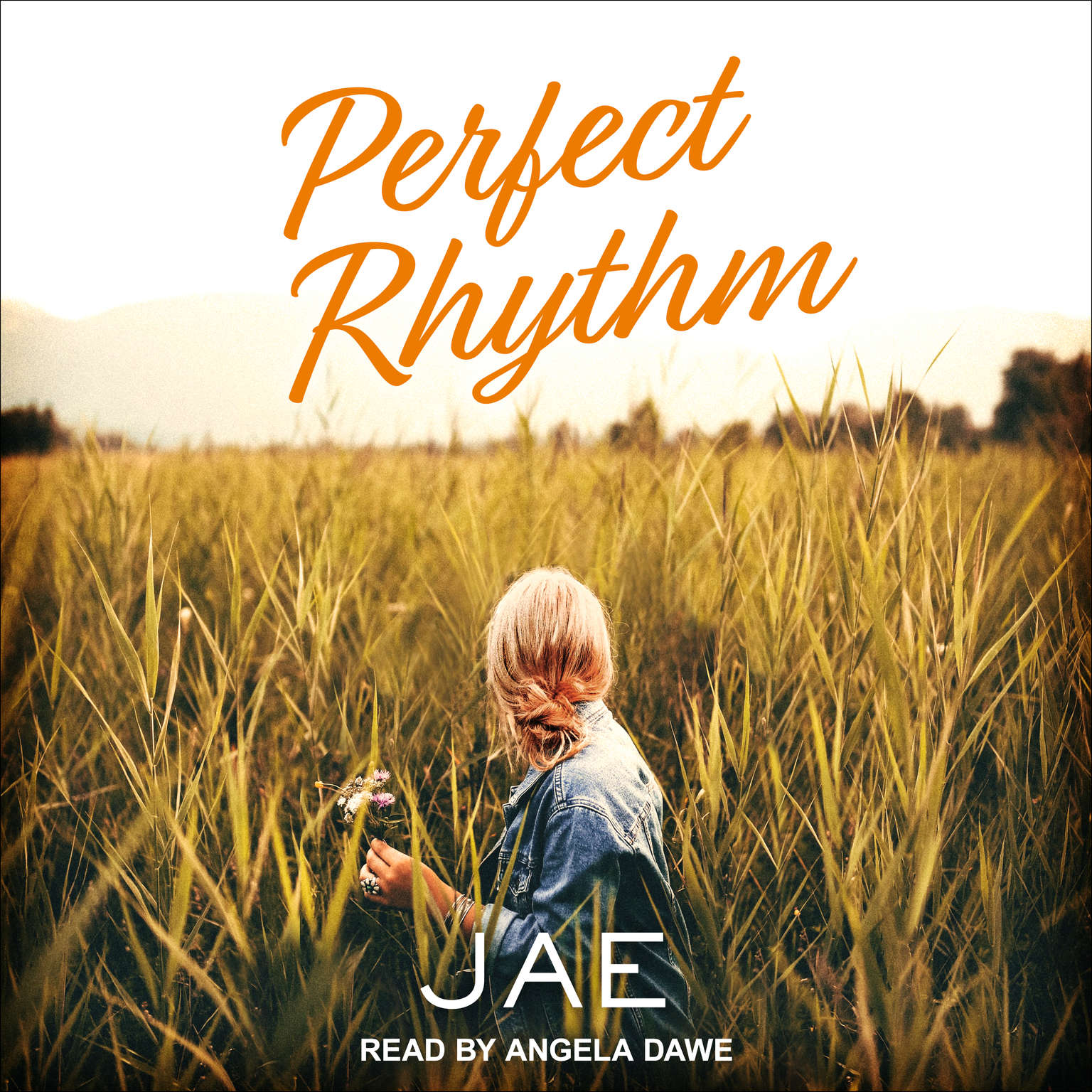 Jae: Perfect Rhythm (Paperback, 2017, Ylva Publishing)