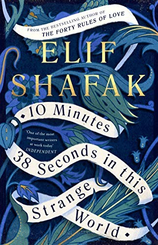 10 Minutes 38 Seconds in this Strange World (Hardcover, 2019, Viking)