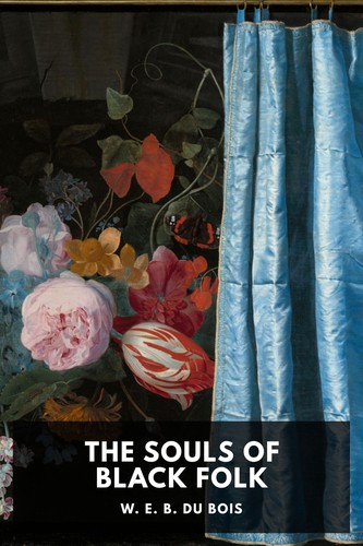 Souls of Black Folk (2021, Independently Published)