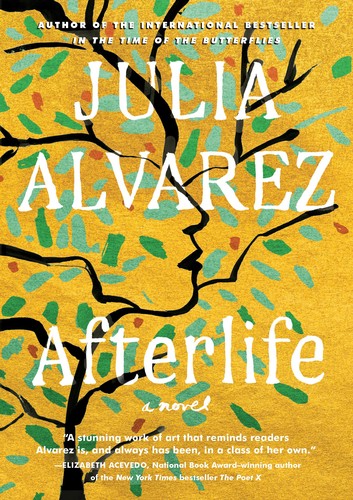 Afterlife : a novel (2020, Algonquin Books of Chapel Hill)