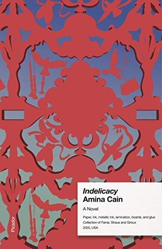 Amina Cain: Indelicacy (Paperback, 2021, Picador)