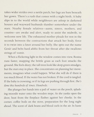 Jessica Kluthe: Rosina, the Midwife (2013, Brindle & Glass Publishing)