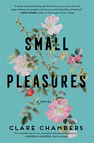 Small Pleasures (Hardcover, 2021, Custom House)